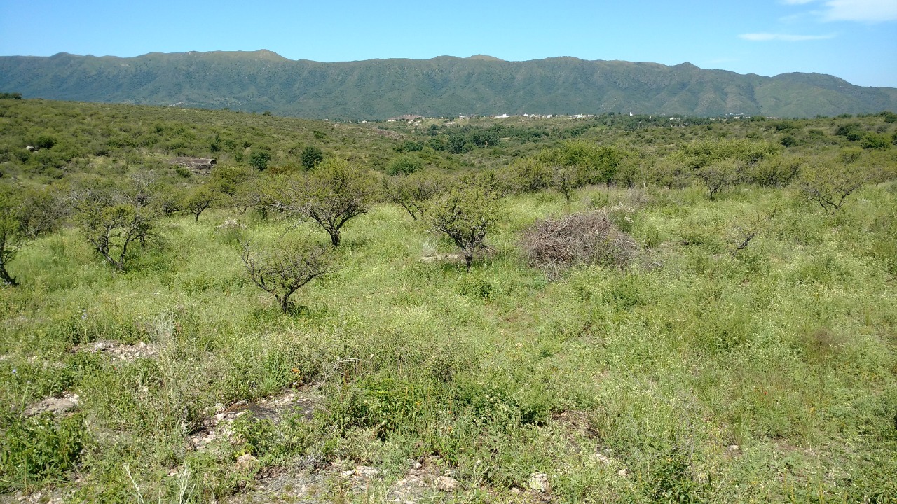 Lotes Mirador del Lago - Bialet Masse