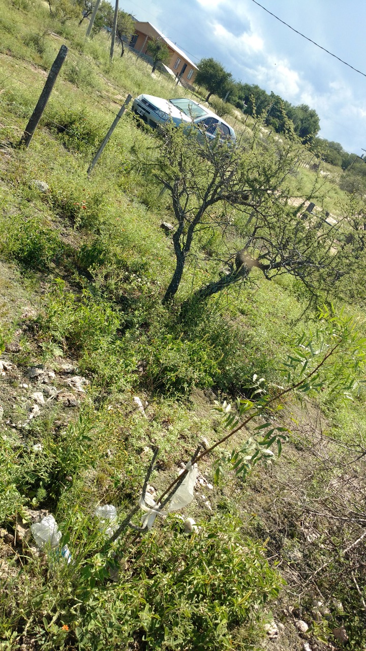 Lotes Mirador del Lago - Bialet Masse