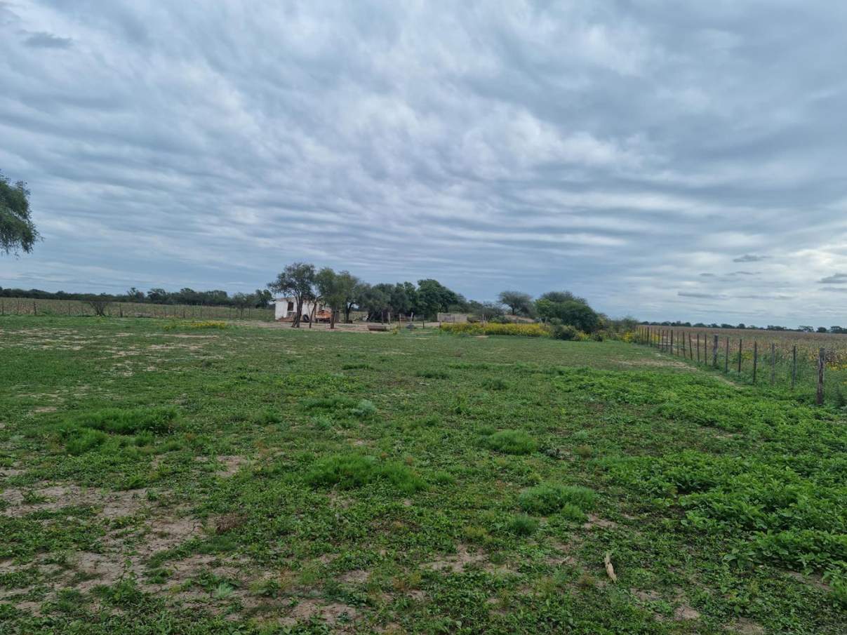 Sebastian El Cano - Importante Fraccion de Campo