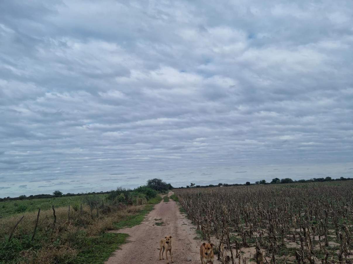 Sebastian El Cano - Importante Fraccion de Campo