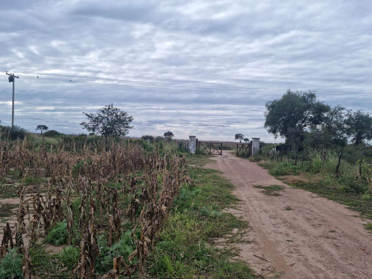 Sebastian El Cano - Importante Fraccion de Campo