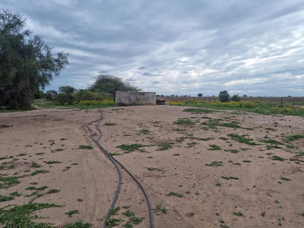 Sebastian El Cano - Importante Fraccion de Campo