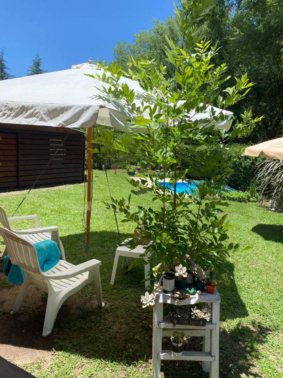 CABAÑA  DE 3 AMB CON PILETA  EN SANTA MÓNICA-CALAMUCHITA