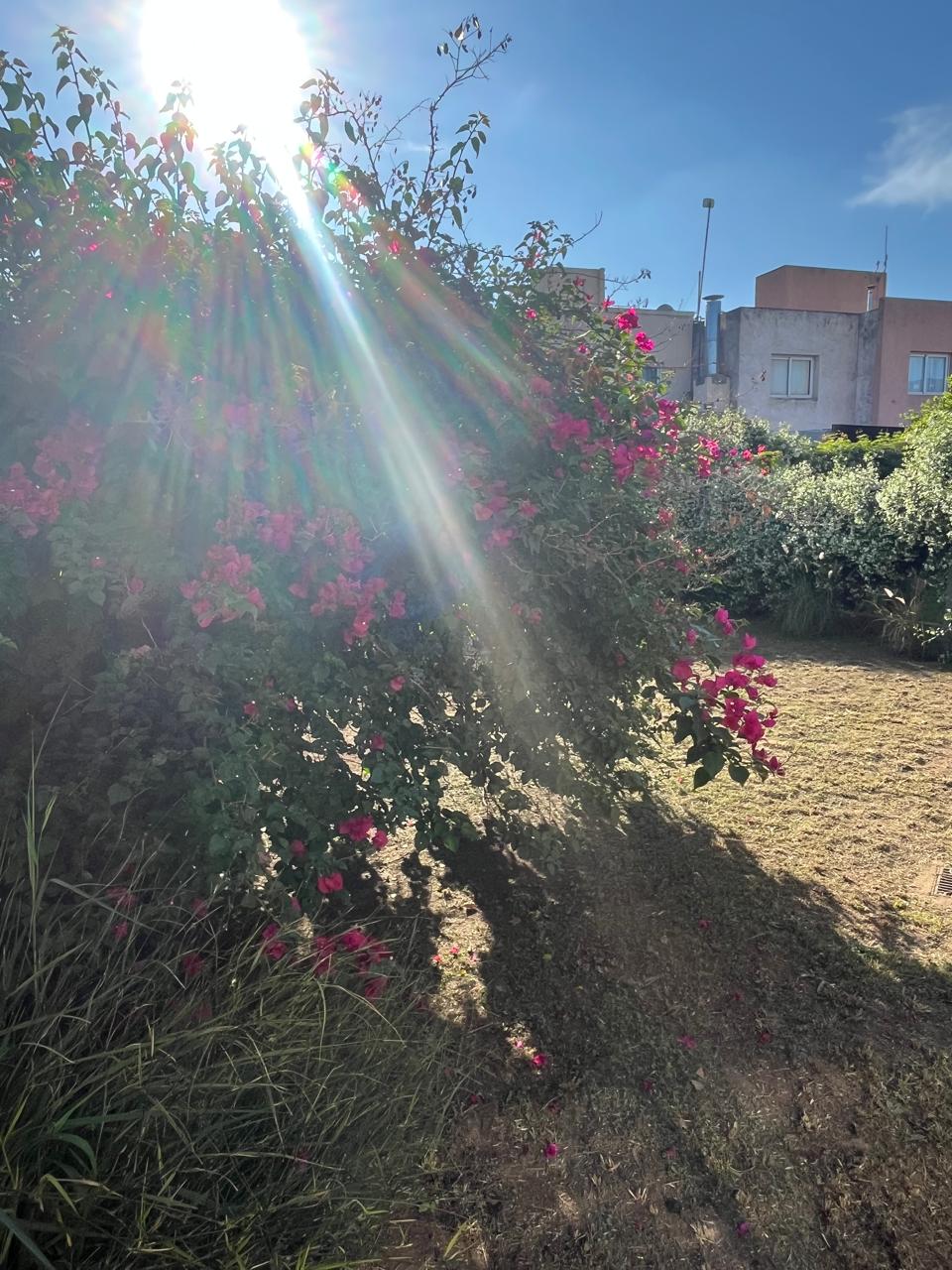 Alquilo Duplex 3 Dorm 2 B La Catalina Cordoba