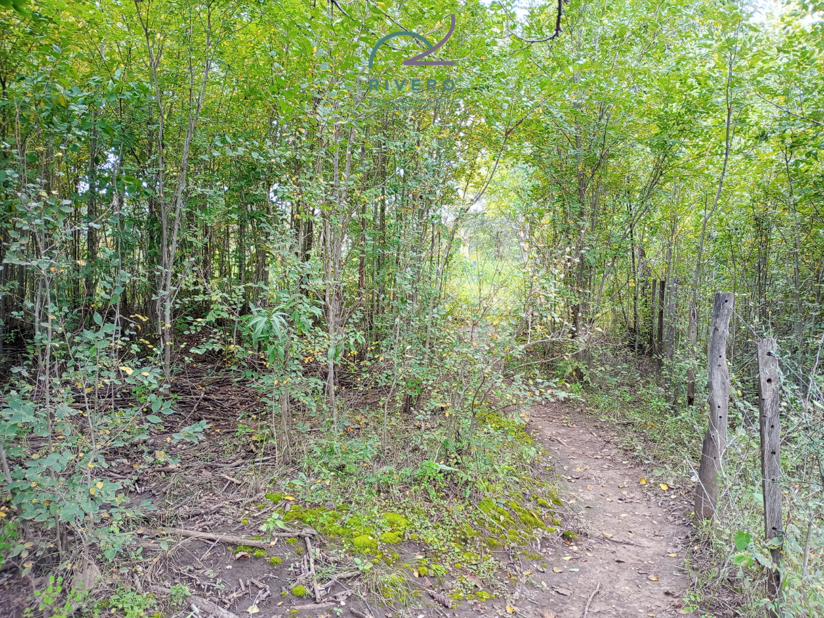 Se vende terreno en Santa Rosa de Calamuchita