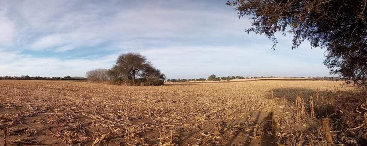 Se vende Campo 7 Htas Falda del Carmen Camino Alta Gracia