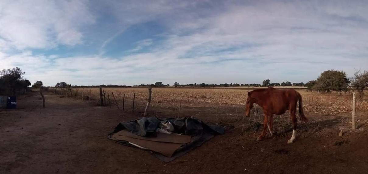 Se vende Campo 7 Htas Falda del Carmen Camino Alta Gracia