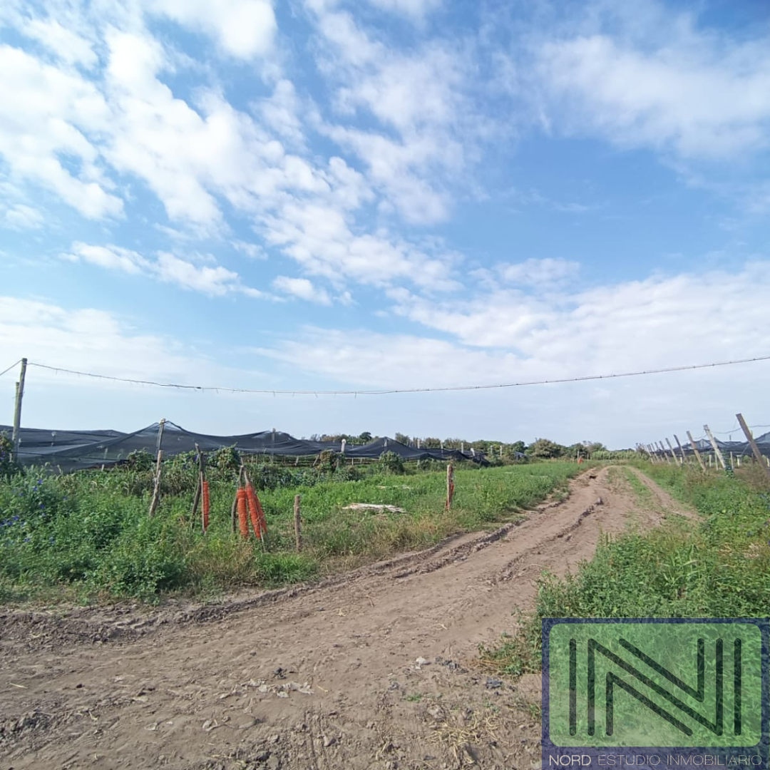 QUINTA EN VENTA - VILLA RETIRO, CORDOBA. OPORTUNIDAD!!!