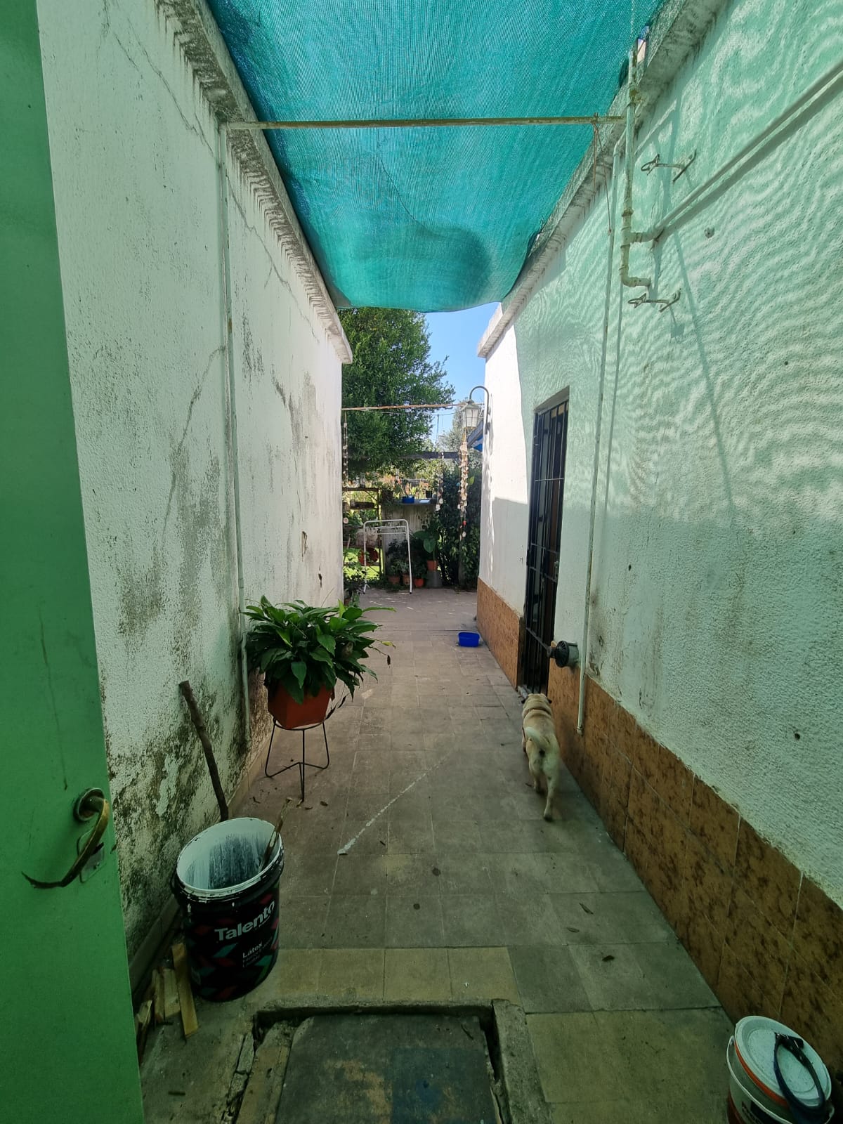 Se vende casa 3 dormitorios en Ameghino Sud