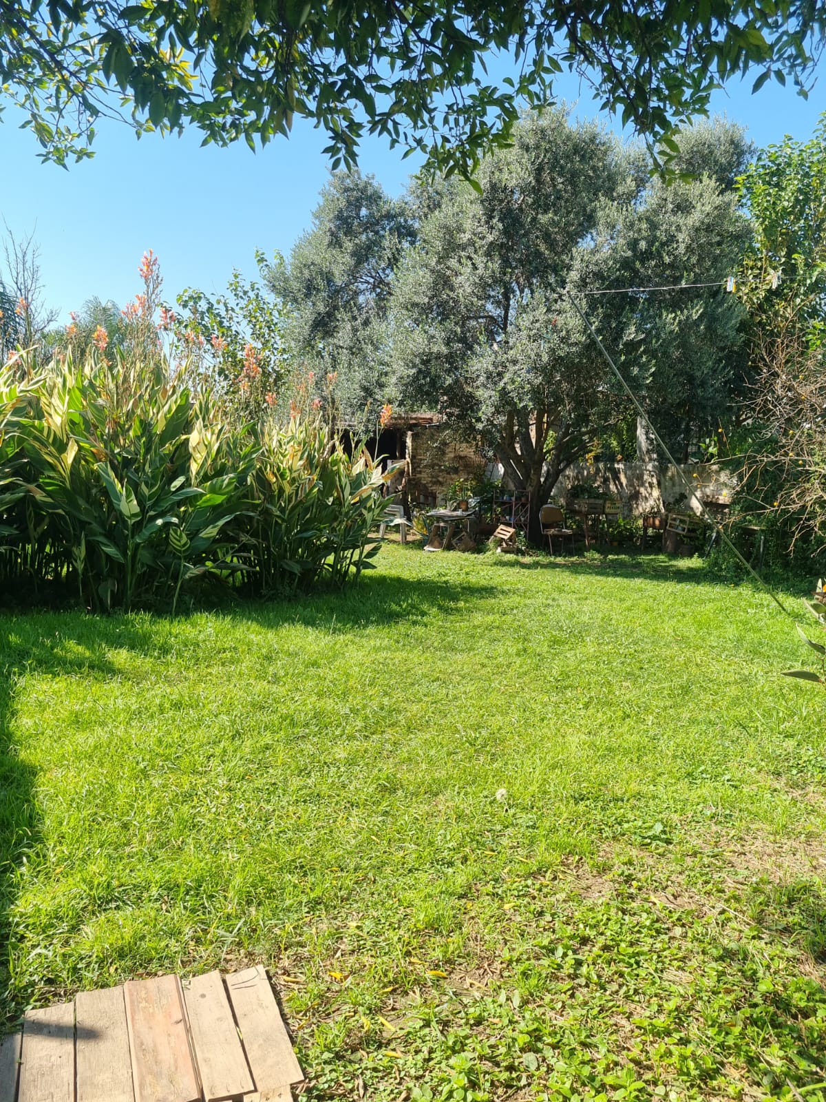 Se vende casa 3 dormitorios en Ameghino Sud
