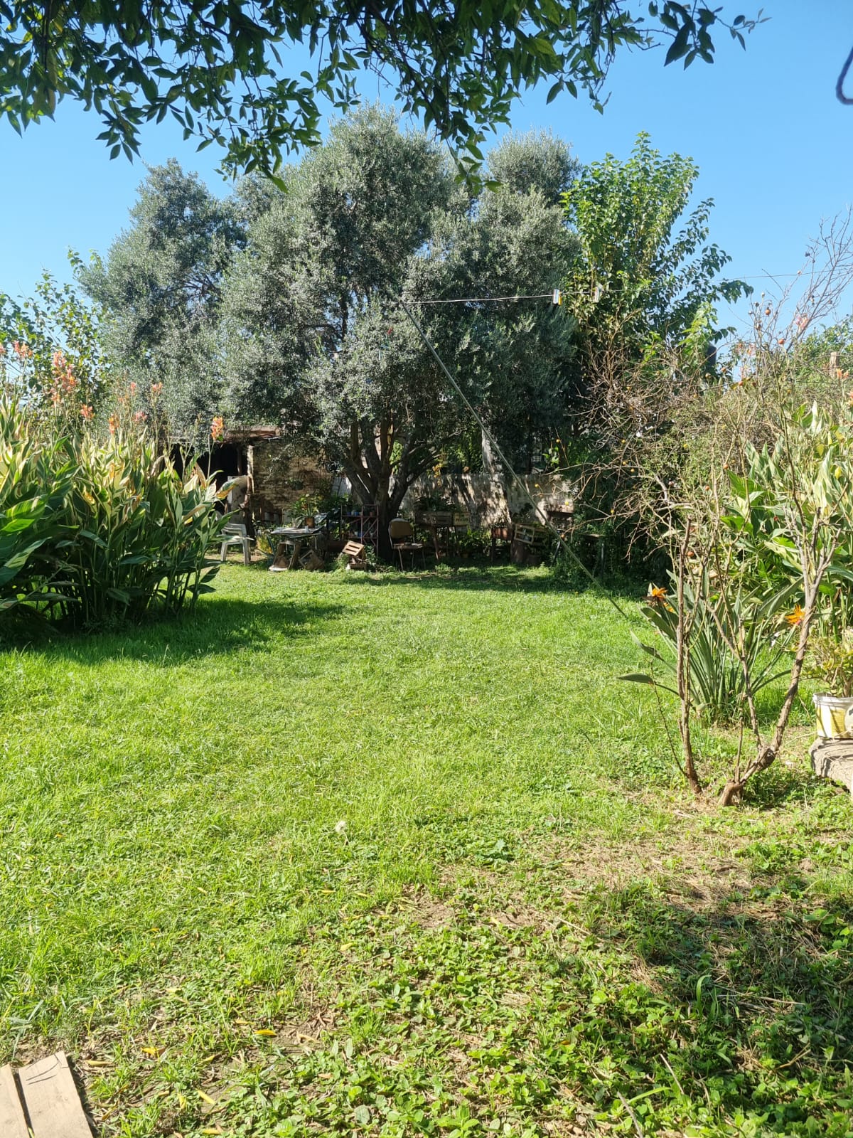 Se vende casa 3 dormitorios en Ameghino Sud