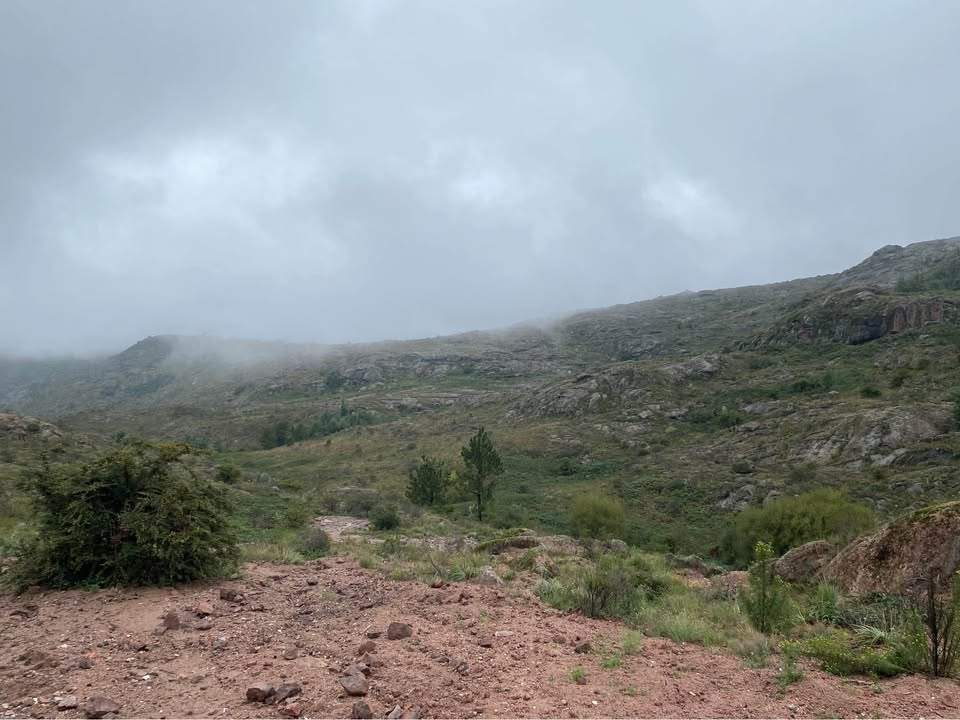 VENTA 10 HECTAREAS A 10KM DEL CENTRO DE TANTI