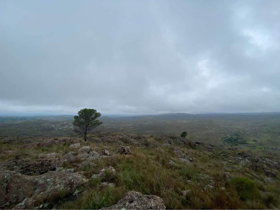 VENTA 300 HECTAREAS A 10 KILOMETROS DEL CENTRO DE TANTI