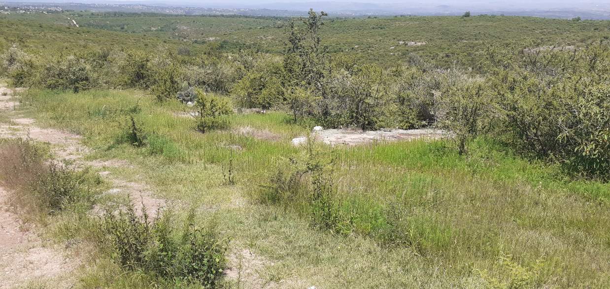 CAMPO EN BIALET MASSE