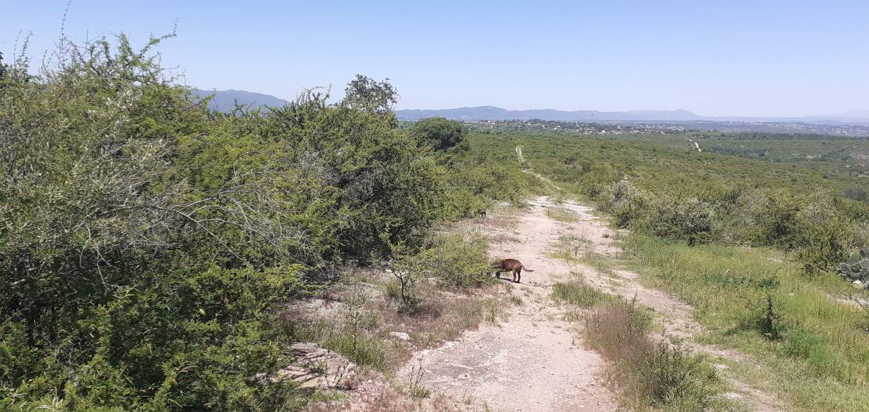 CAMPO EN BIALET MASSE