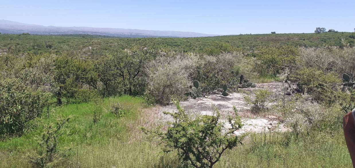 CAMPO EN BIALET MASSE