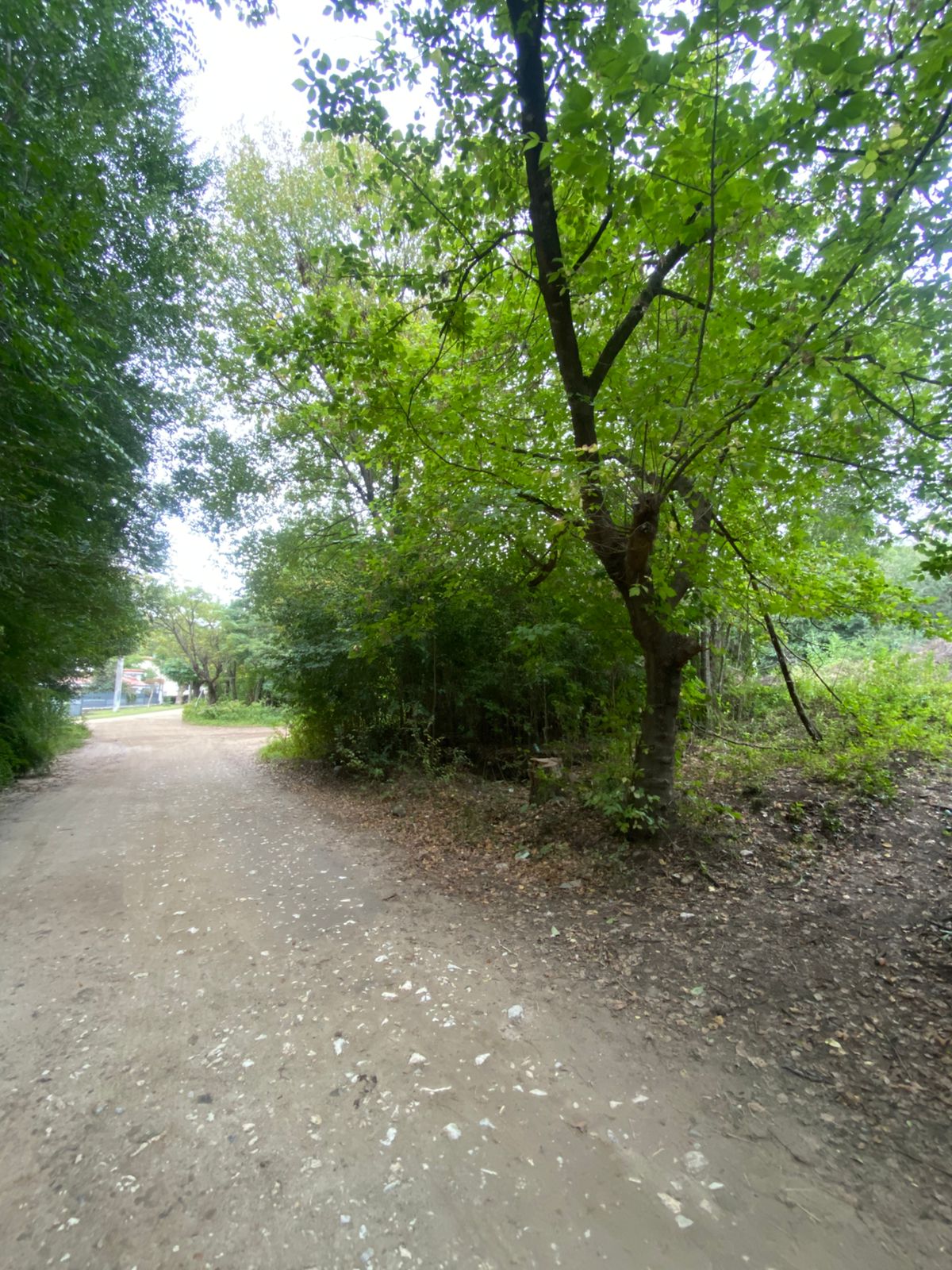 Se vende lote en barrio Peñon del Indio, Valle Hermoso. Provincia de Córdoba