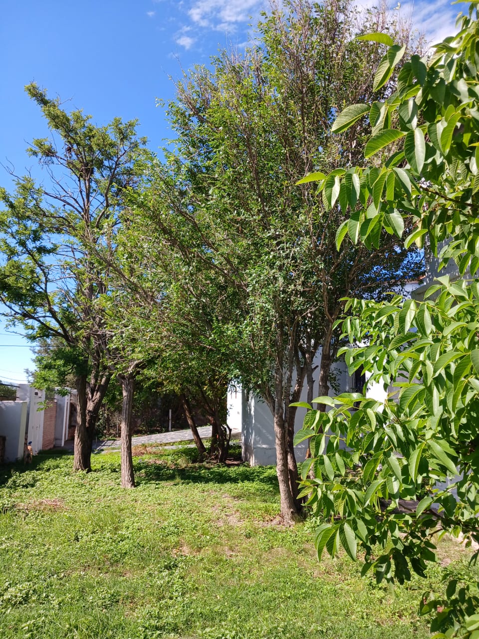 CASA EN VENTA EQUIPADA APTA HOSPEDAJE- OPORTUNIDAD-CAPILLA DEL MONTE