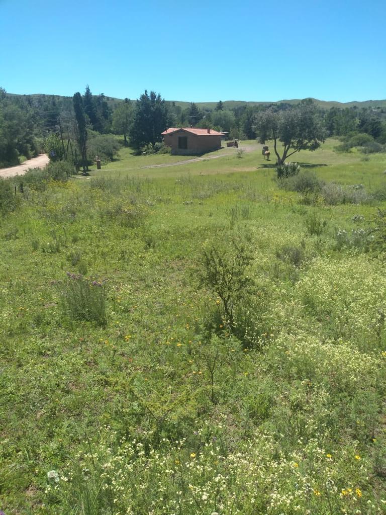 Excepcional Propiedad por Ubicación y Orientación camino a La Estancia del Rosario