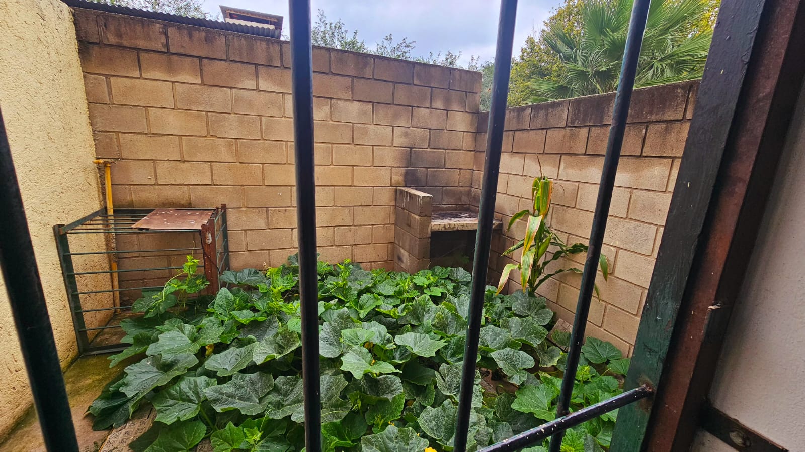 ALQUILO DÚPLEX 1 DORMITORIO EN COMPLEJO LAS ACACIAS  CUESTA COLORADA  CON COCHERA Y PATIO CON ASADOR