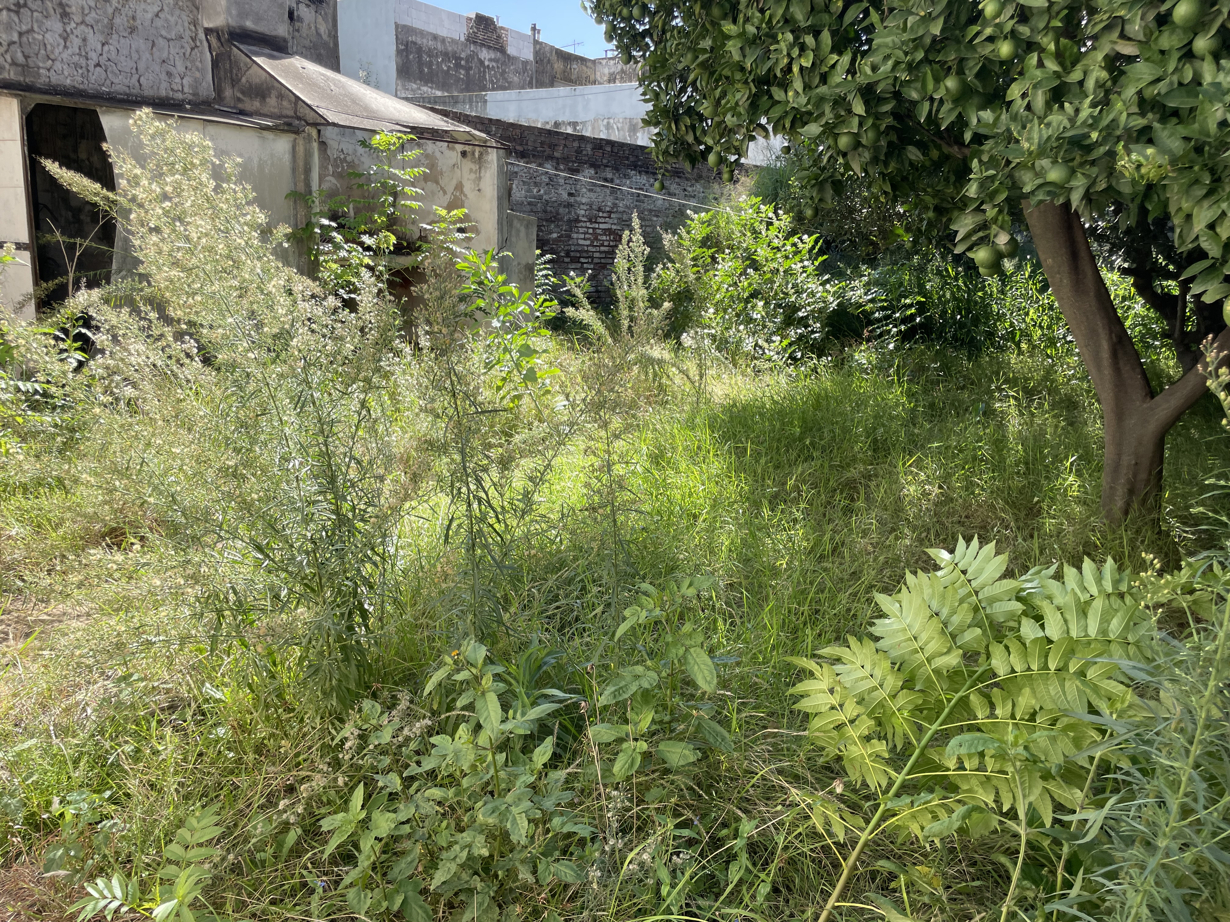 Casa a Reciclar en Venta de 5 Dormitorios en Alta Córdoba