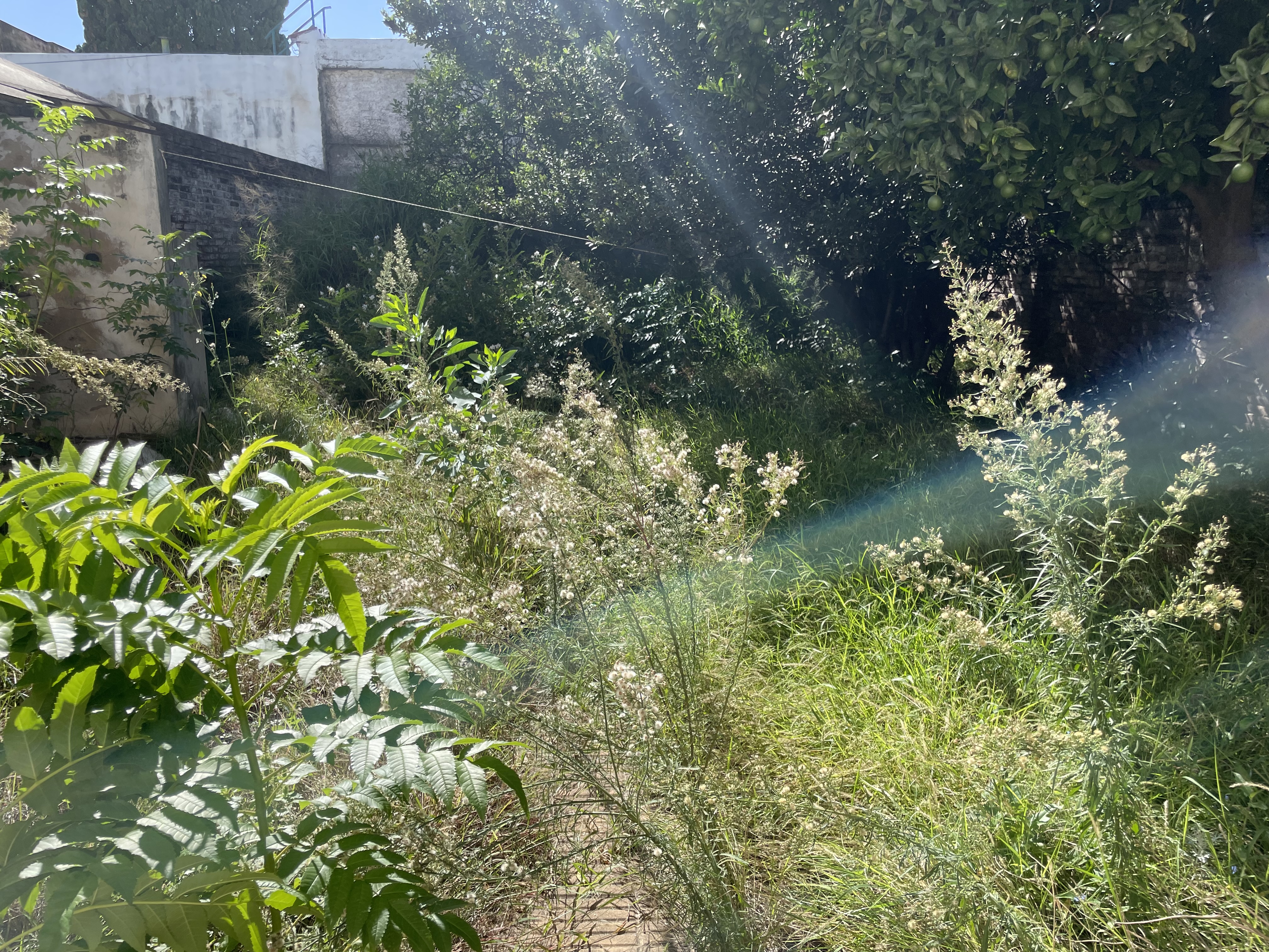 Casa a Reciclar en Venta de 5 Dormitorios en Alta Córdoba