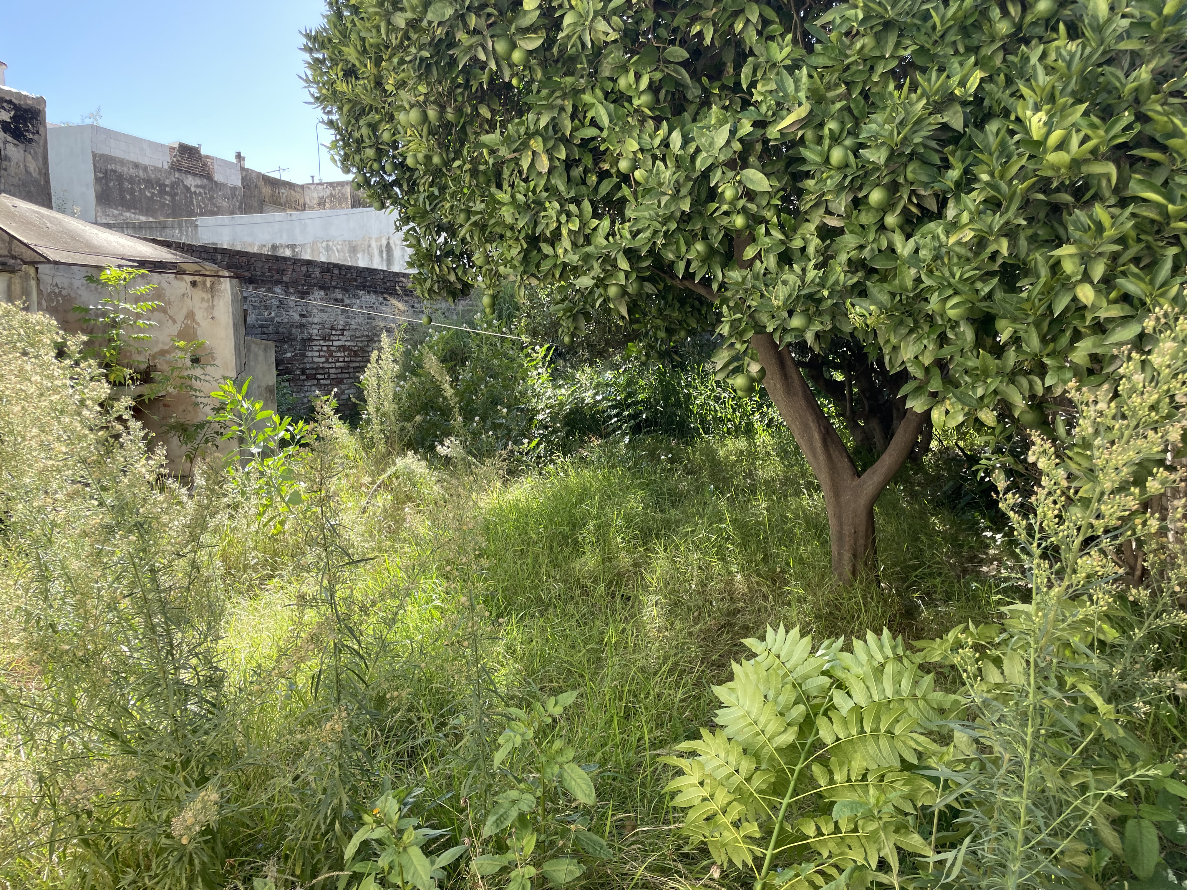 Casa a Reciclar en Venta de 5 Dormitorios en Alta Córdoba