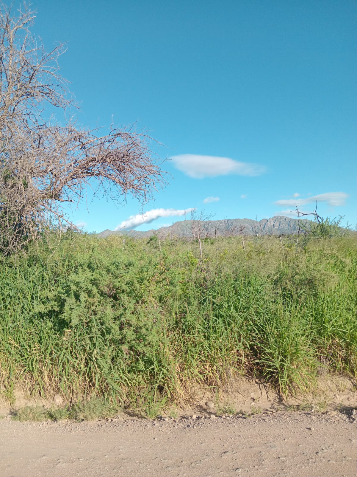 VENTA CASA 2 DORM. EN QUEBRADA DE LUNA- CHARBONIER- CÓRDOBA