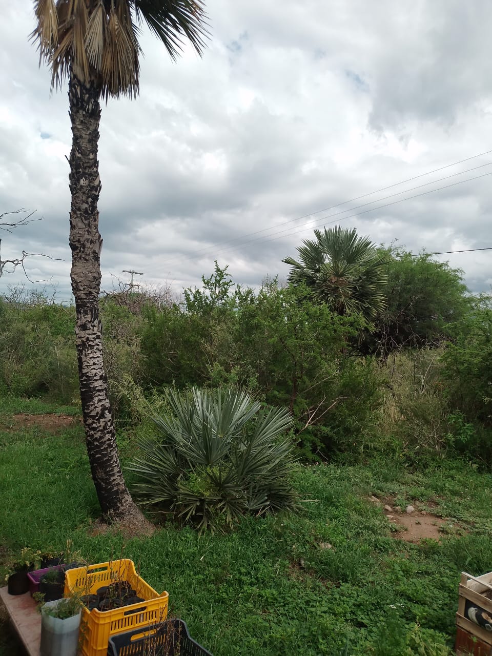 VENTA CASA 2 DORM. EN QUEBRADA DE LUNA- CHARBONIER- CÓRDOBA