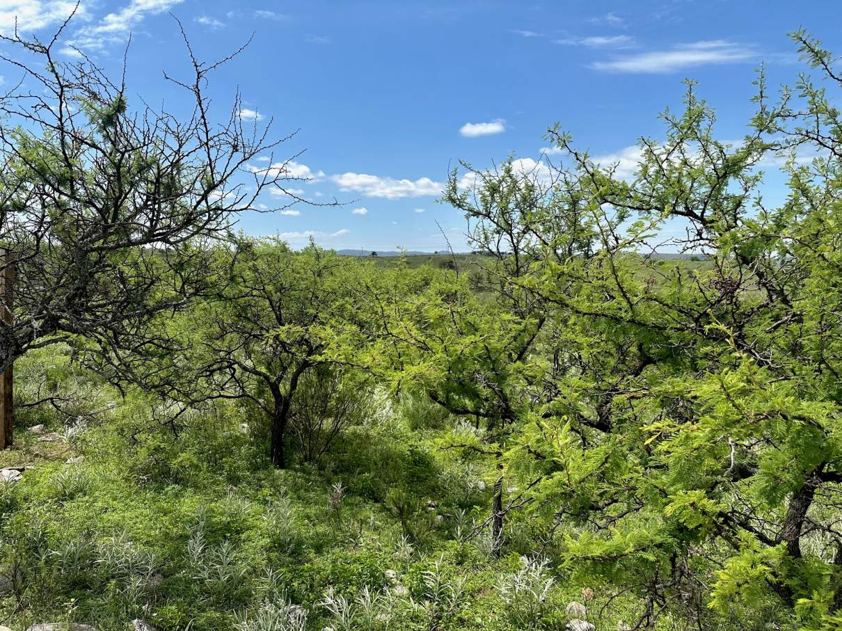 Lote en Venta Estancia La Cunka Etapa 1
