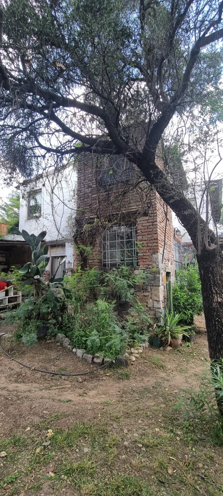 Casa con encanto nativo - Construcción exclusiva con materiales de demolición y autóctonos!