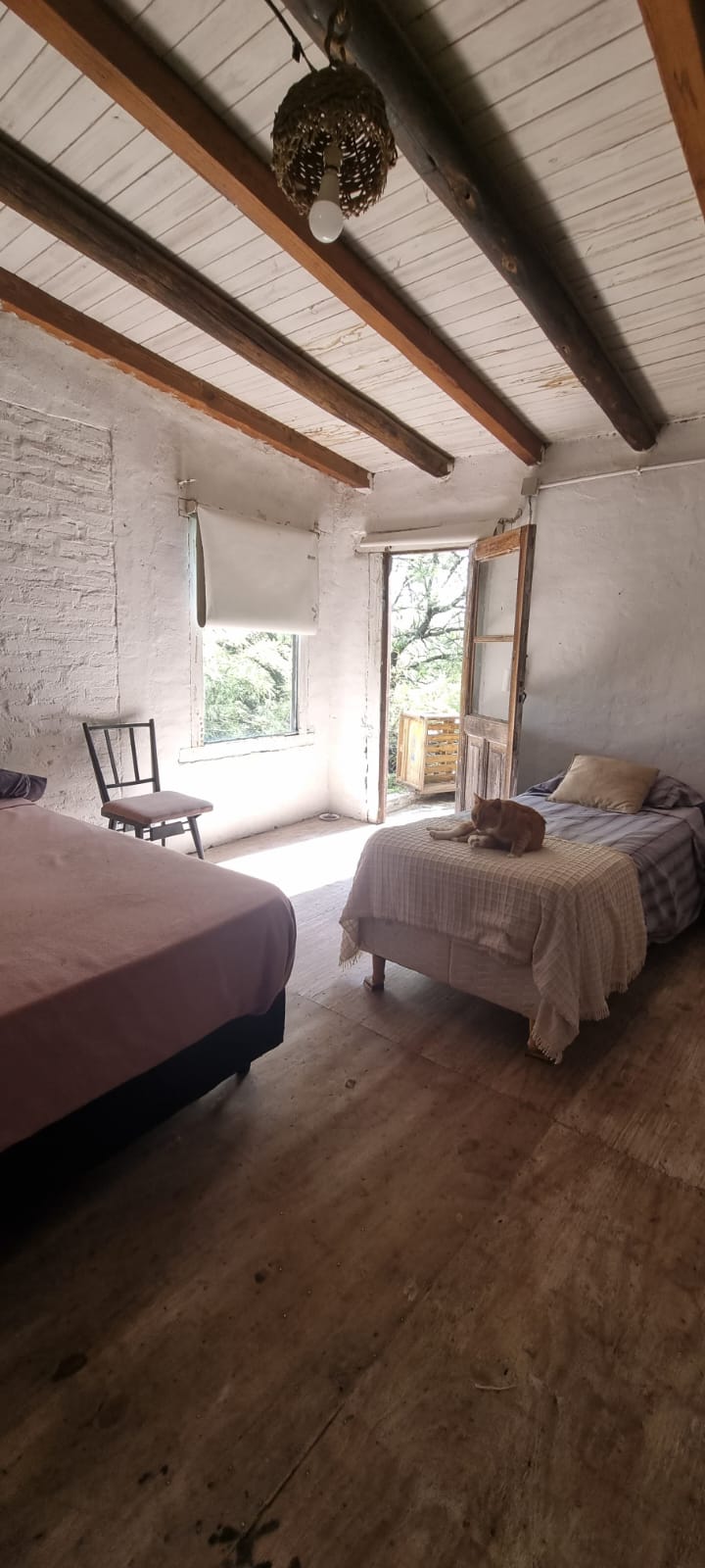 Casa con encanto nativo - Construcción exclusiva con materiales de demolición y autóctonos!