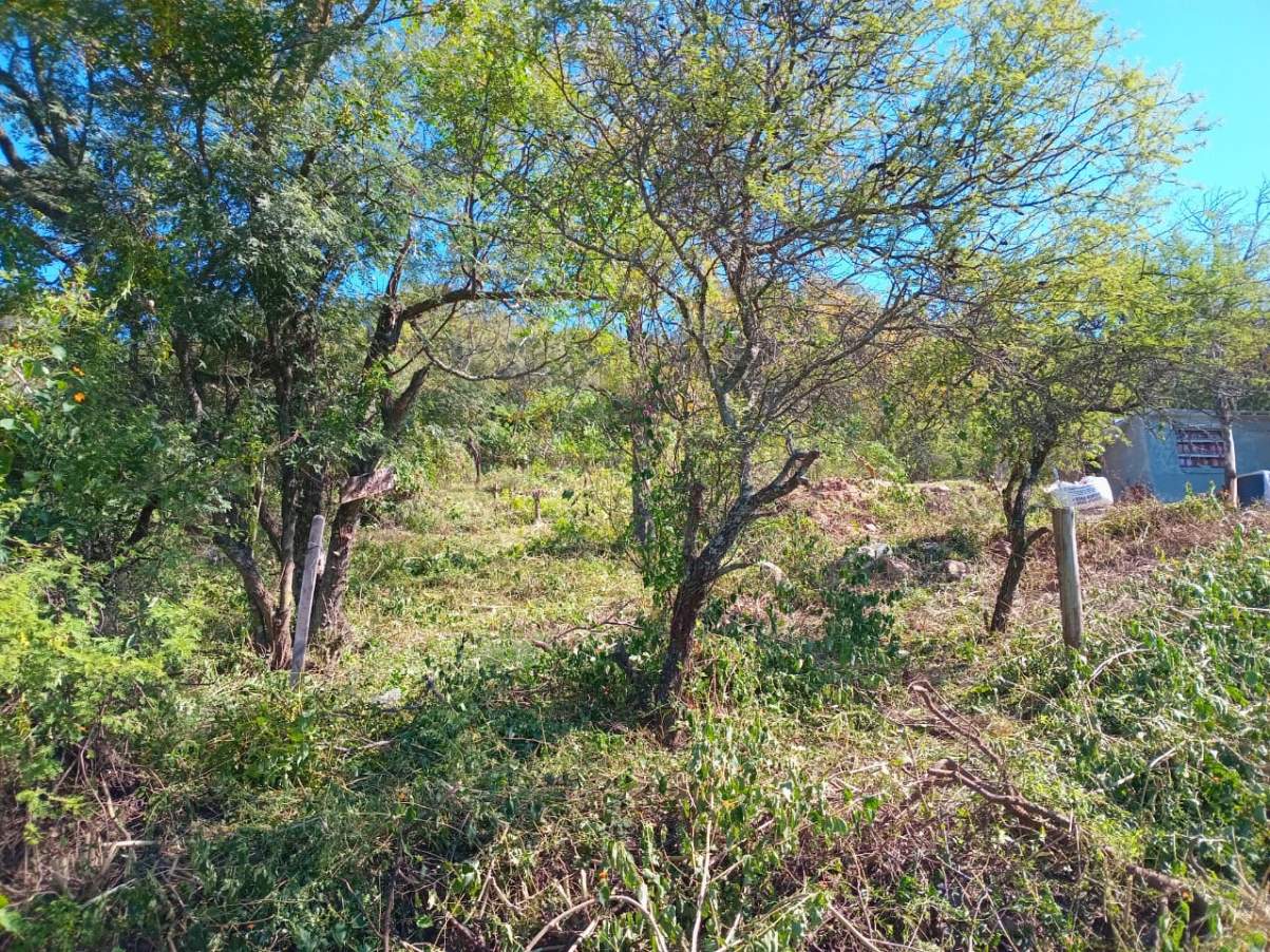 Donde tus sueños tocan tierra: lote en venta