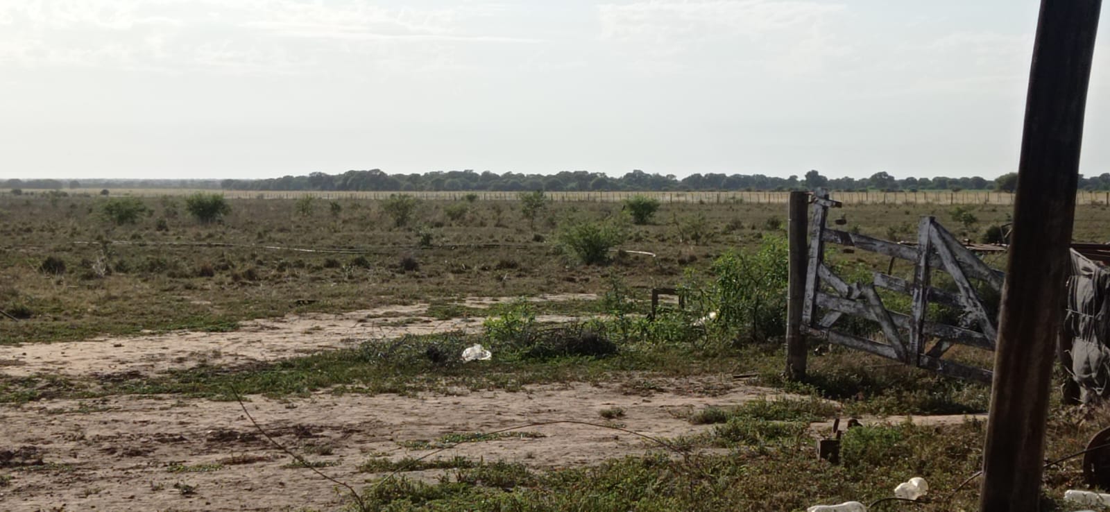 CAMPO PUESTO CASTRO