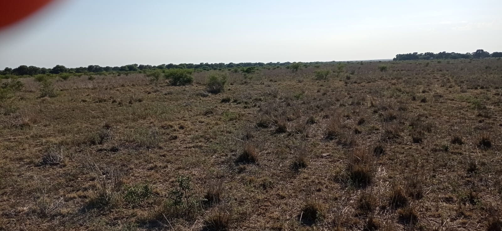 CAMPO PUESTO CASTRO