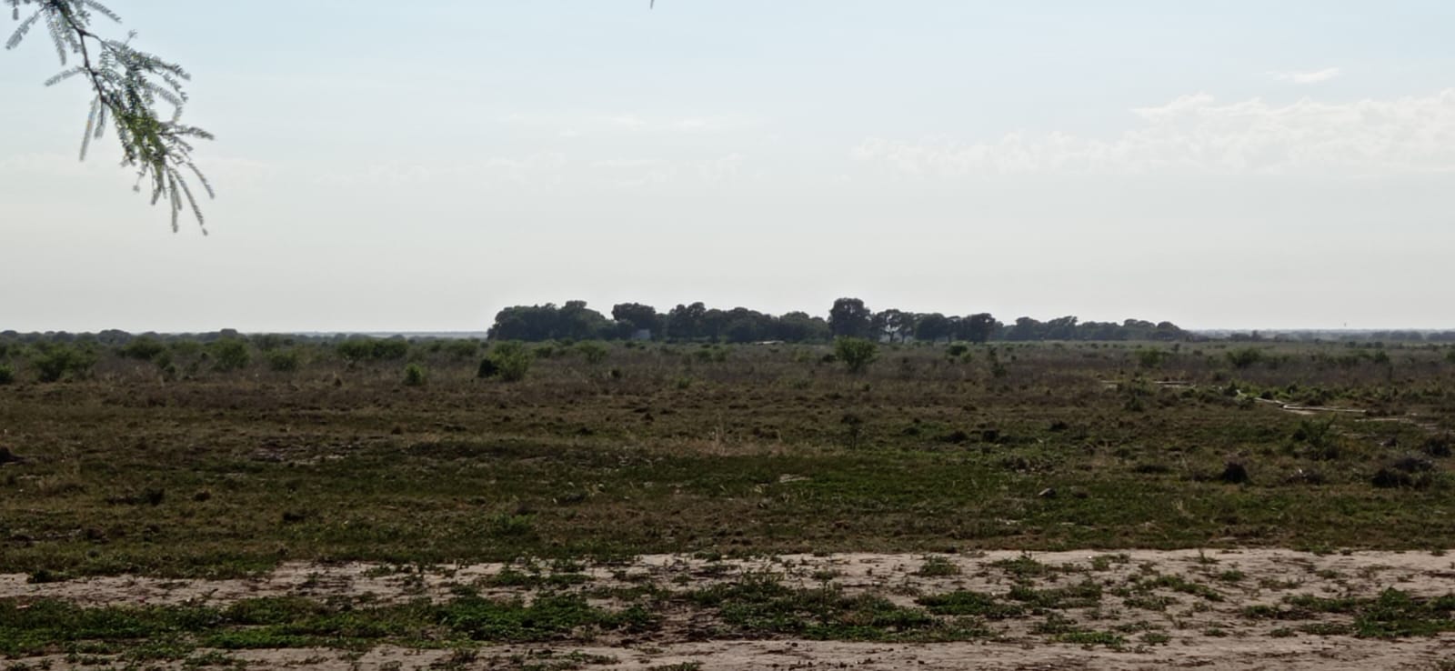 CAMPO PUESTO CASTRO