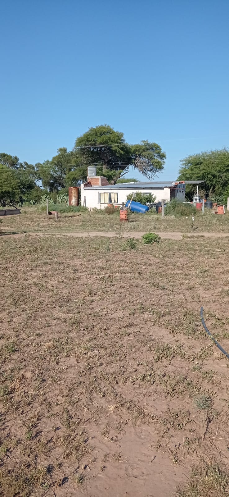 CAMPO PUESTO CASTRO