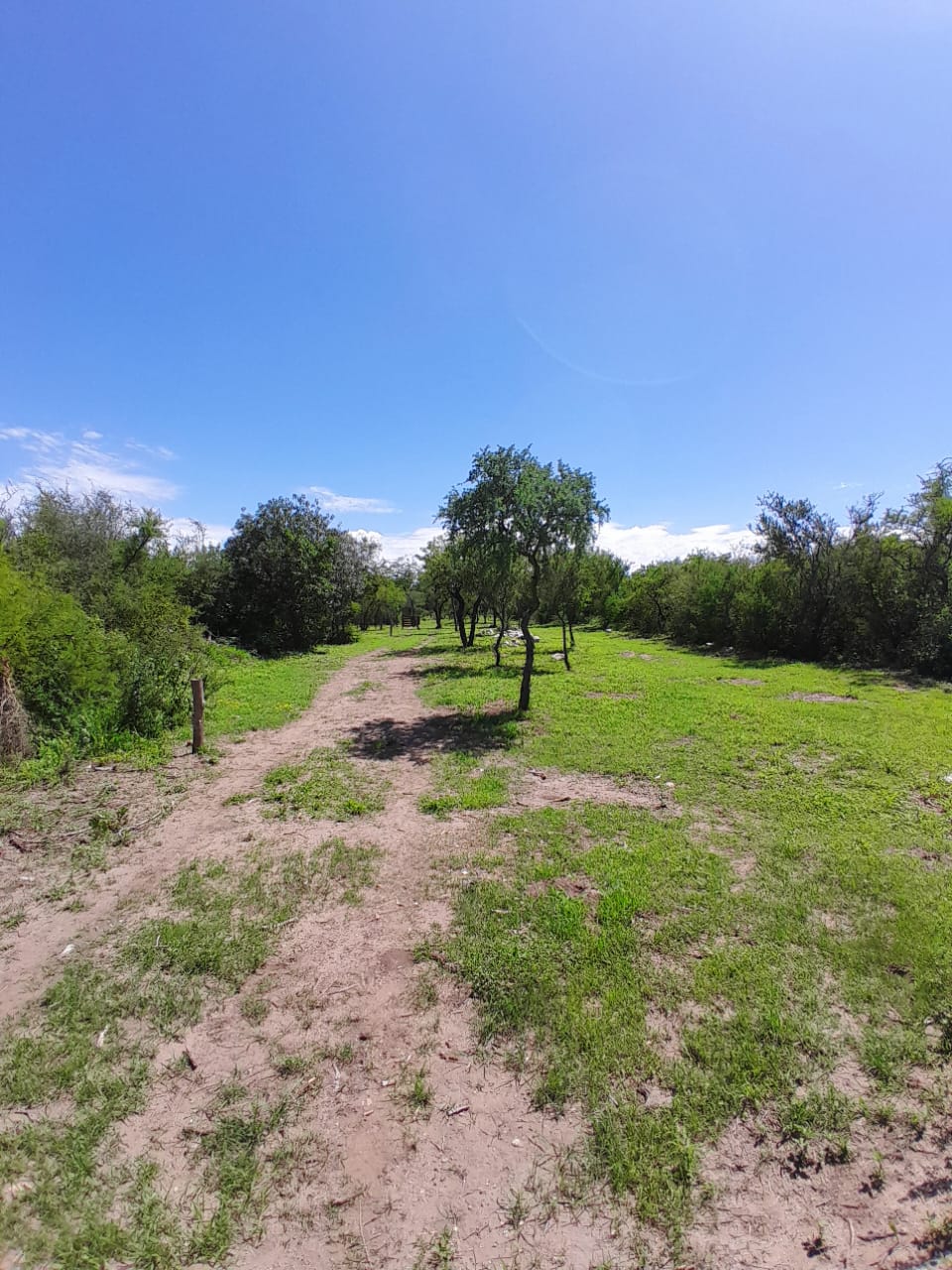 VENTA DE LOTES EN VADO LAS CHACRAS B LOS MOLLES , EN VILLA LAS ROSAS, TRASLASIERRAS