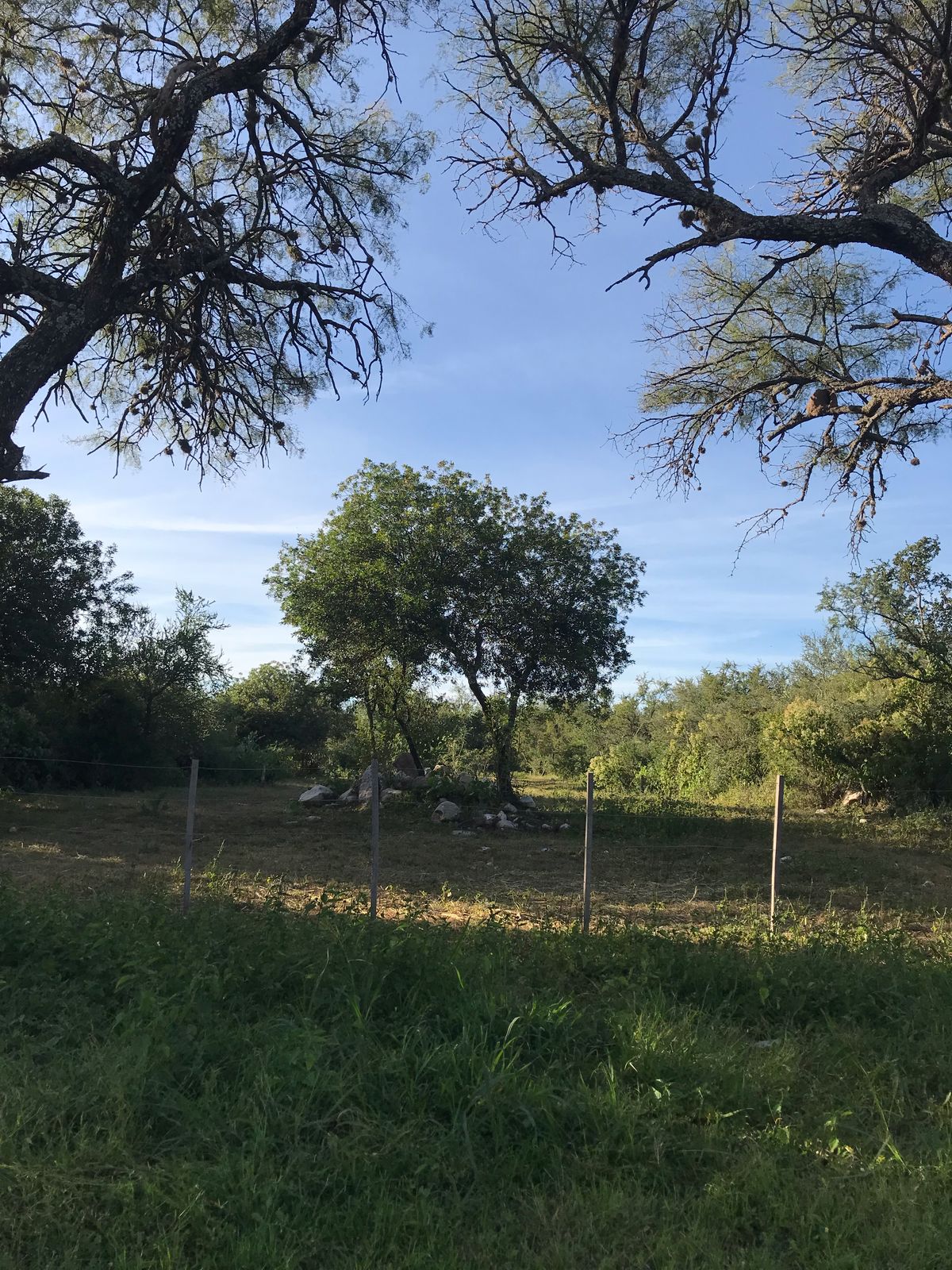 VENTA DE LOTES EN VADO LAS CHACRAS B LOS MOLLES , EN VILLA LAS ROSAS, TRASLASIERRAS