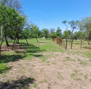 VENTA DE LOTES EN VADO LAS CHACRAS B LOS MOLLES , EN VILLA LAS ROSAS, TRASLASIERRAS