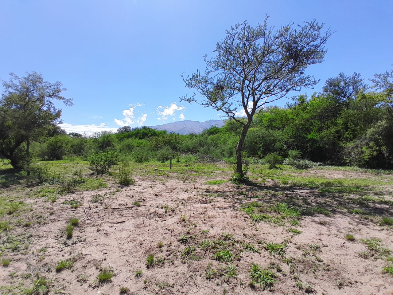 VENTA DE LOTES EN VADO LAS CHACRAS B LOS MOLLES , EN VILLA LAS ROSAS, TRASLASIERRAS