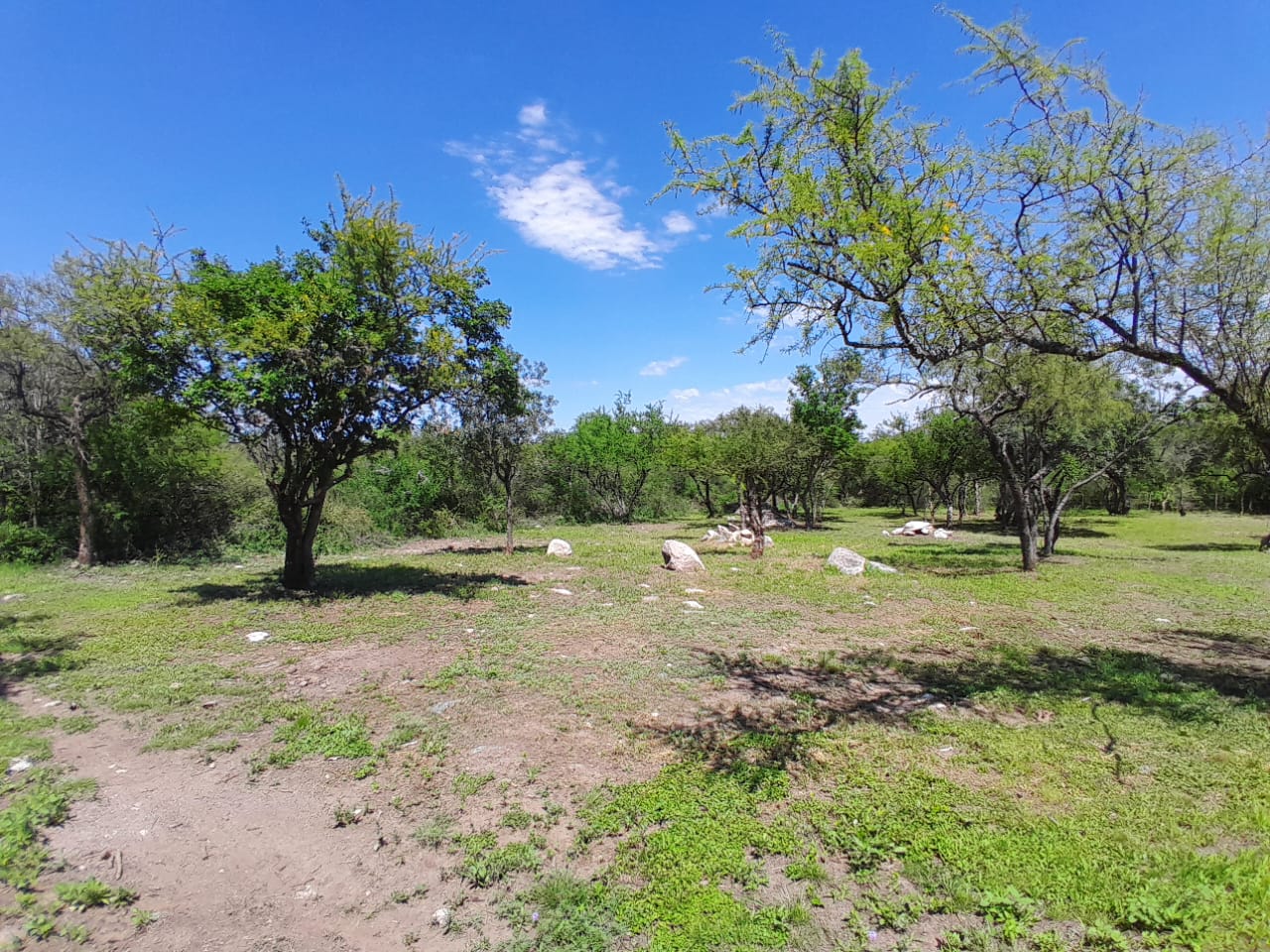 VENTA DE LOTES EN VADO LAS CHACRAS B LOS MOLLES , EN VILLA LAS ROSAS, TRASLASIERRAS