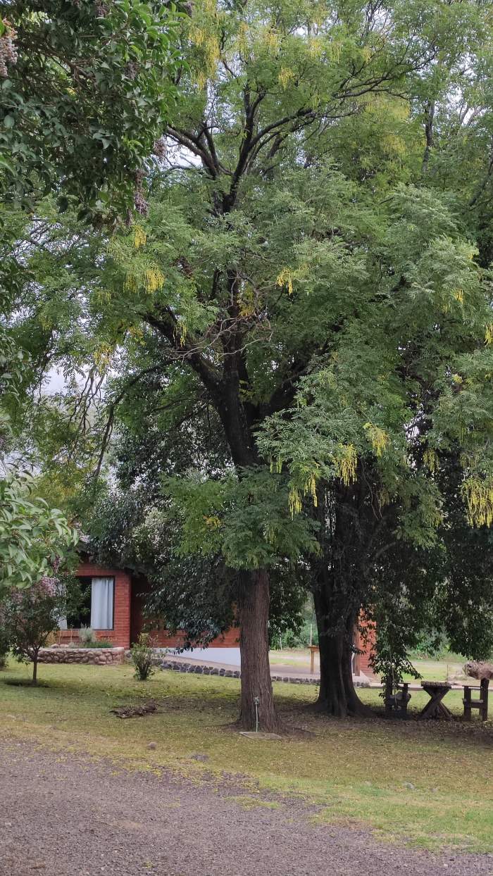 COMPLEJO DE CABAÑAS EN VENTA    VILLA GENERAL BELGRANO