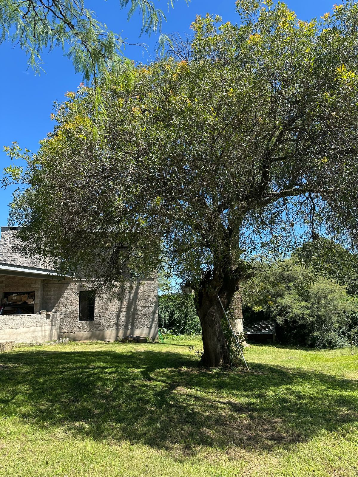 Casa 4 dormitorios en Villa General Belgrano