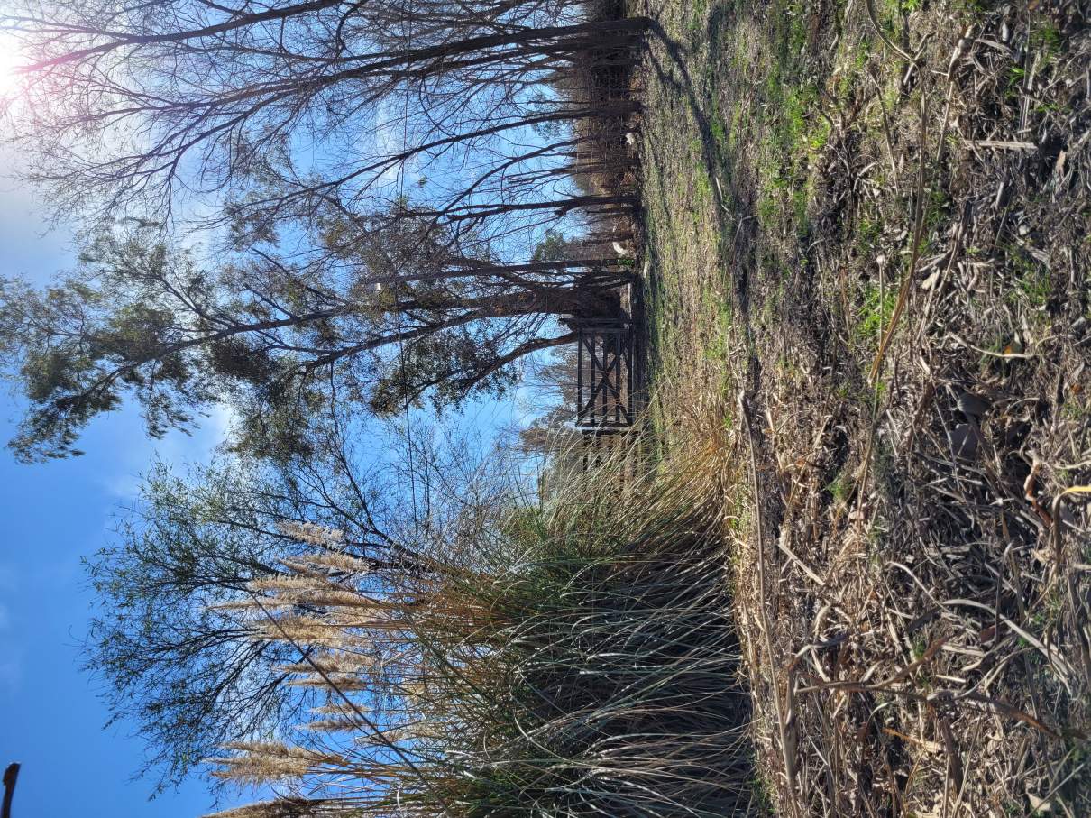 Venta Lote, Anisacate 1865 m, a 400 m de La Ruta N5