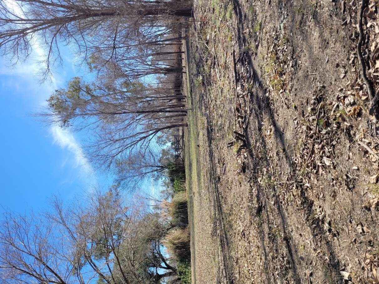 Venta Lote, Anisacate 1865 m, a 400 m de La Ruta N5