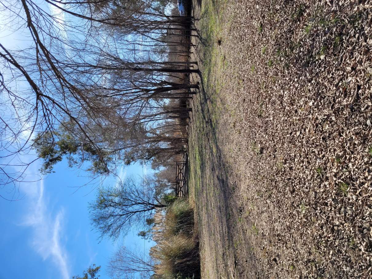 Venta Lote, Anisacate 1865 m, a 400 m de La Ruta N5
