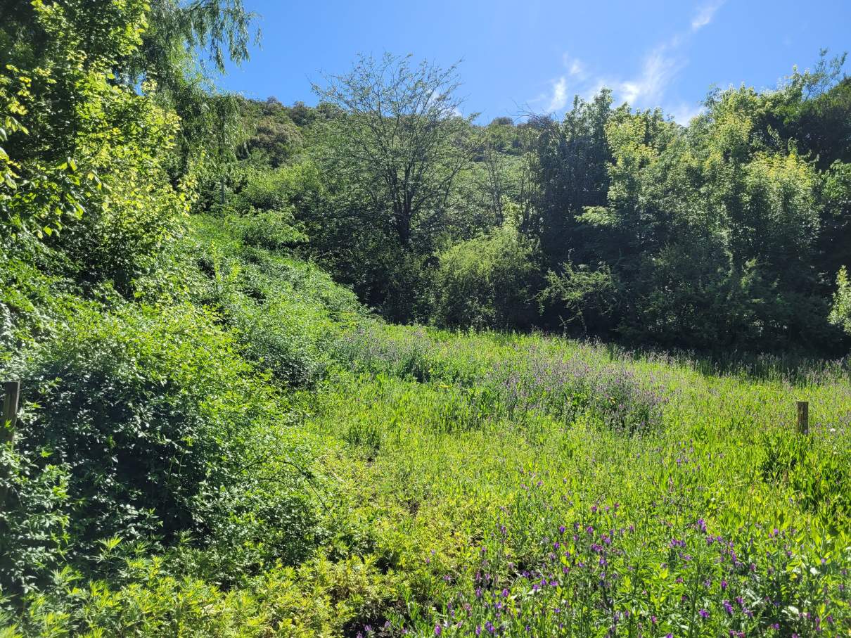 Venta Lote en Unquillo Cabana 1043 m, son dos lotes de 520 aprox