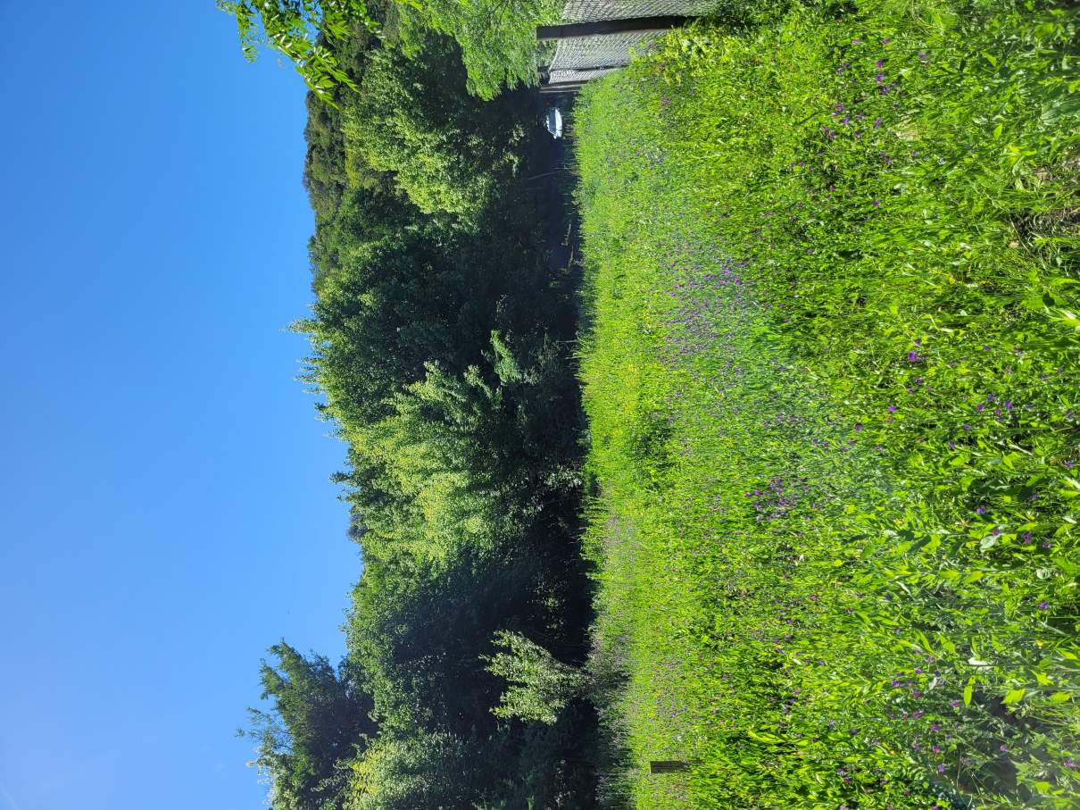 Venta Lote en Unquillo Cabana 1043 m, son dos lotes de 520 aprox