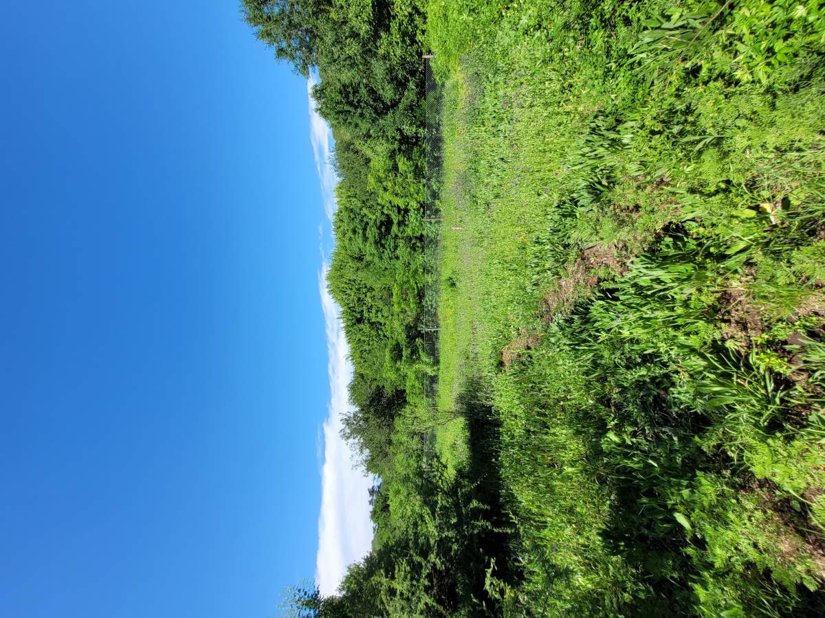 Venta Lote en Unquillo Cabana 1043 m, son dos lotes de 520 aprox